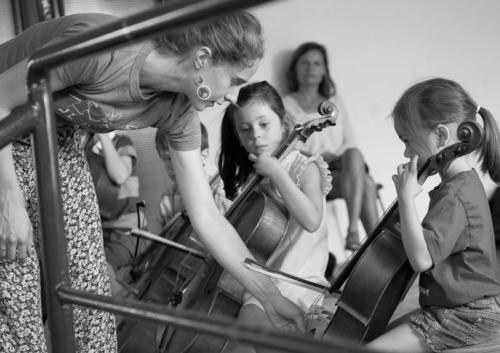 ElfencelliI copyBaoVu