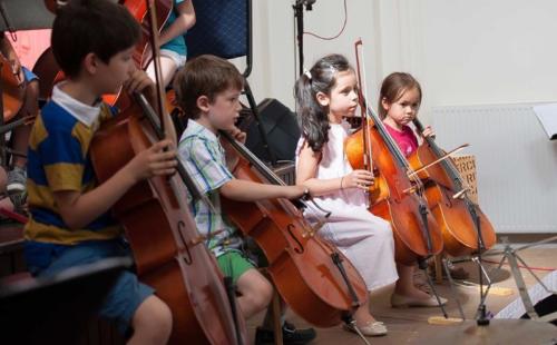 Elfencelli copyBaoVu